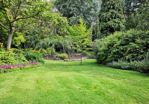 Optimiser l'expérience du jardin à Saint-Carne