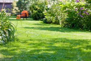 travaux jardin et paysage Saint-Carne